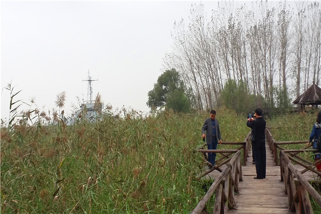 山东枣庄境内红色教育基地有哪些-山东枣庄境内红色教育基地-滕州微山湖湿地