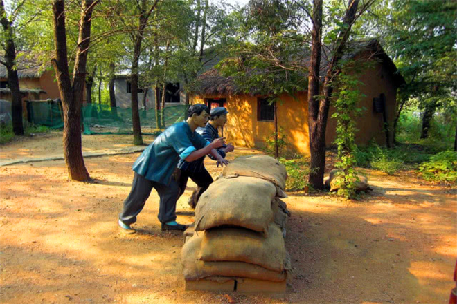 山东枣庄红色教育基地滕州微山湖湿地景点图片