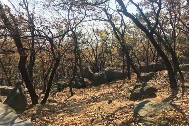 山东枣庄附近红色教育基地_山东枣庄周边红色教育基地-孟良崮战役纪念馆图片